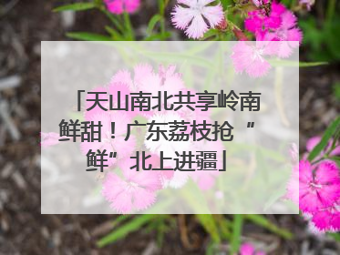 天山南北共享岭南鲜甜！广东荔枝抢“鲜”北上进疆